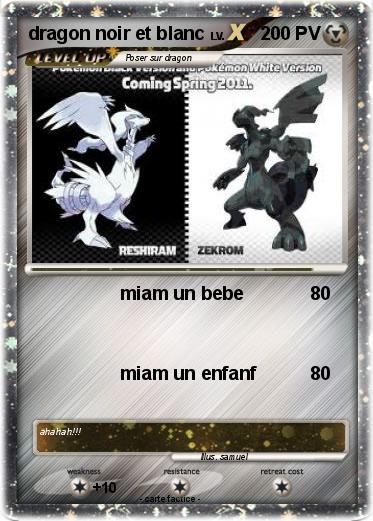 Pokemon dragon noir et blanc