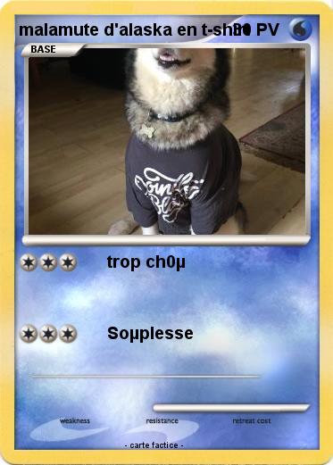 Pokemon malamute d'alaska en t-shirt