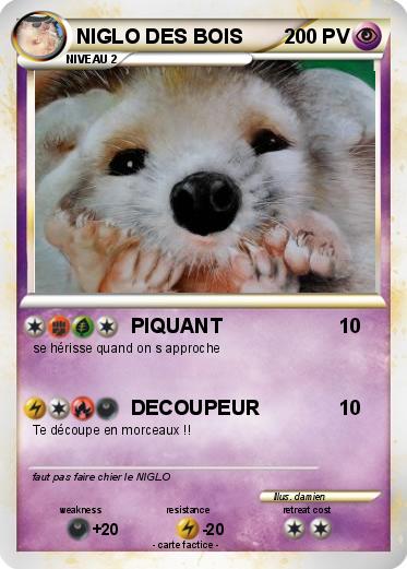 Pokemon NIGLO DES BOIS