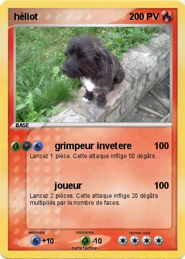 Pokemon héliot