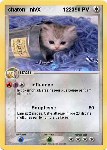 Pokemon chaton   nivX               1223      