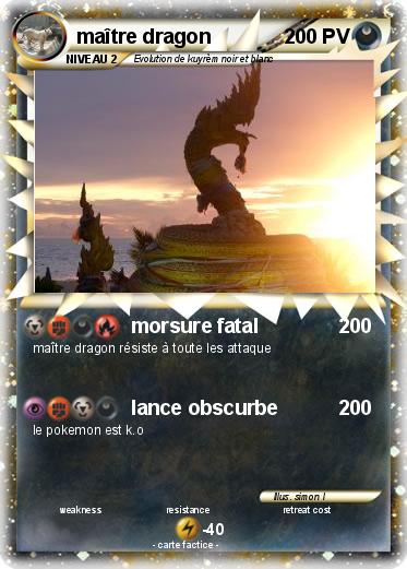 Pokemon maître dragon