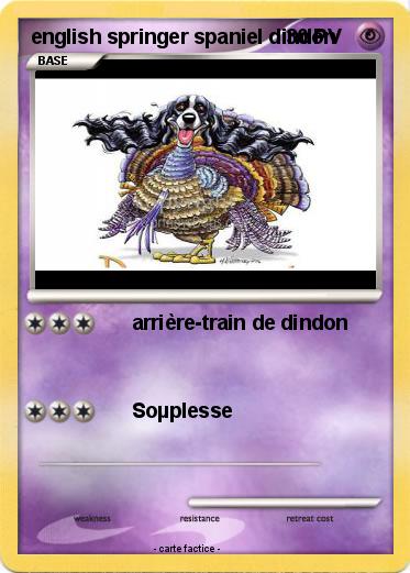 Pokemon english springer spaniel dindon
