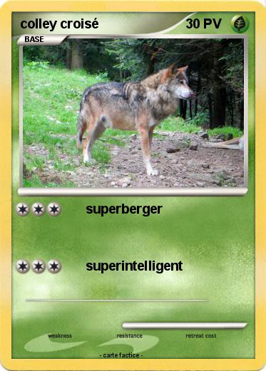 Pokemon colley croisé