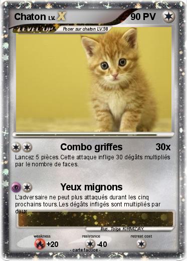Pokemon Chaton