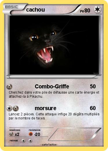 Pokemon cachou