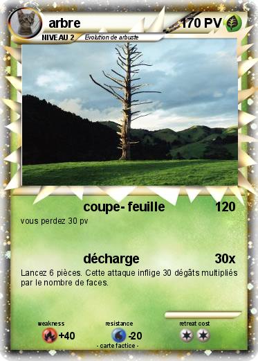 Pokemon arbre