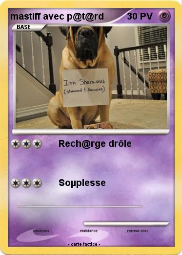 Pokemon mastiff avec p@t@rd