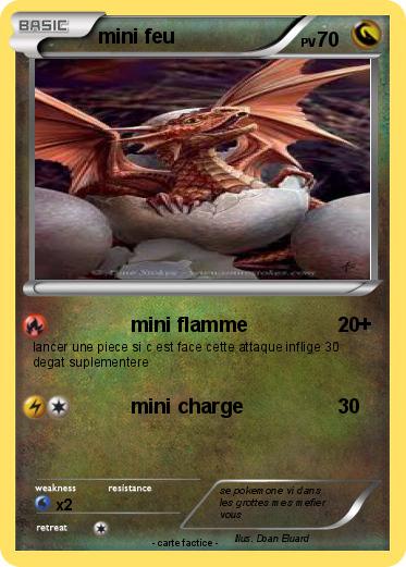 Pokemon mini feu