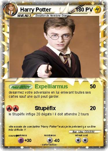 Pokemon Harry Potter