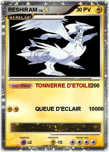 Pokemon RESHIRAM