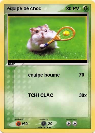 Pokemon equipe de choc