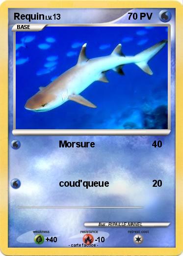 Pokemon Requin