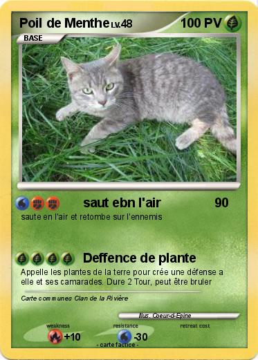 Pokemon Poil de Menthe