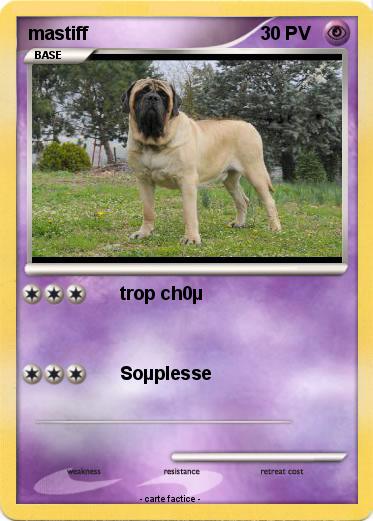 Pokemon mastiff