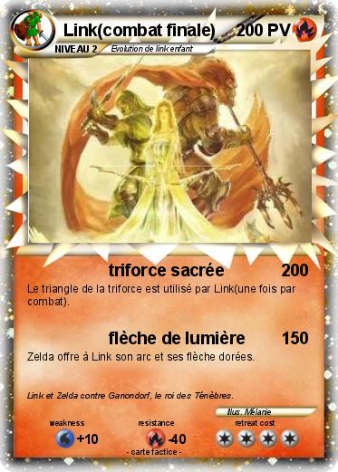 Pokemon Link(combat finale)