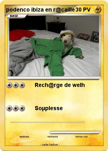 Pokemon podenco ibiza en r@caille