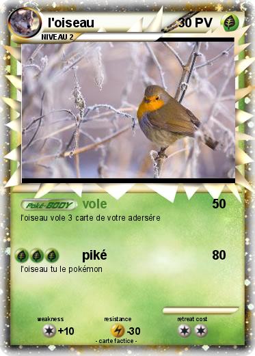Pokemon l'oiseau