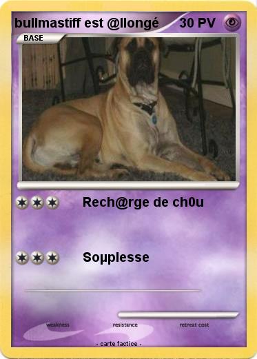 Pokemon bullmastiff est @llongé