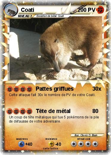 Pokemon Coati