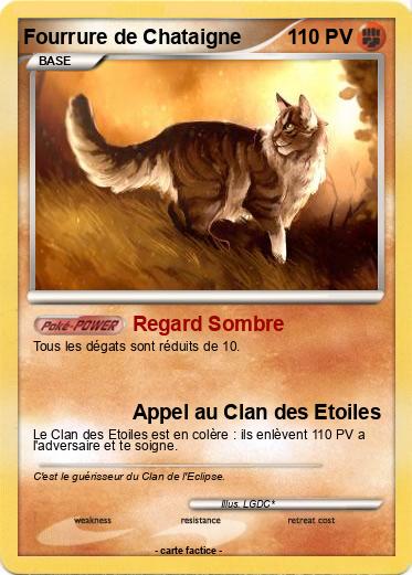 Pokemon Fourrure de Chataigne