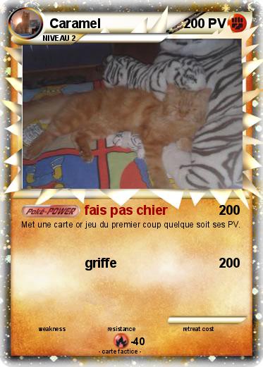 Pokemon Caramel