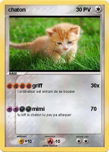 Pokemon chaton