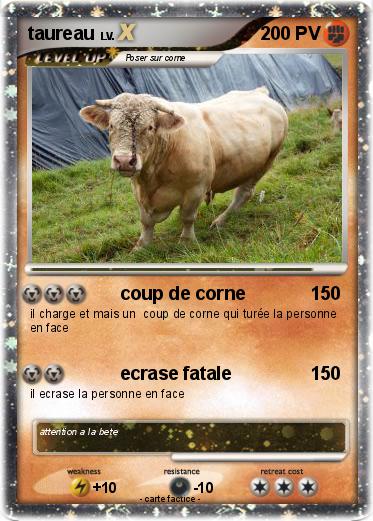 Pokemon taureau