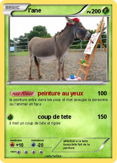 Pokemon l'ane