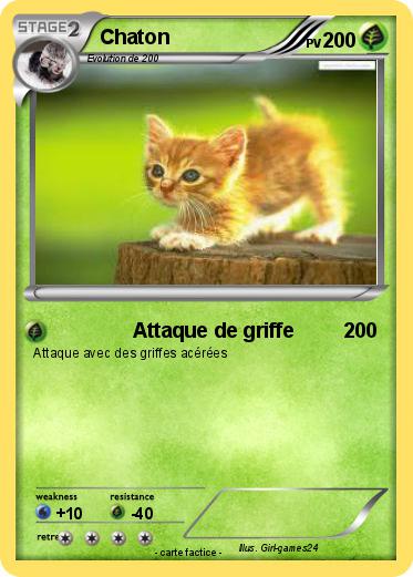 Pokemon Chaton