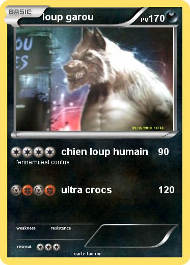 Pokemon loup garou