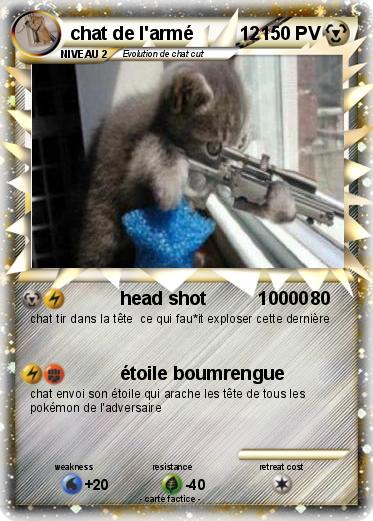 Pokemon chat de l'armé         12