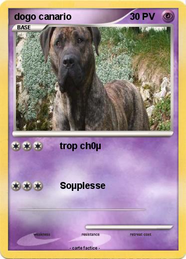 Pokemon dogo canario