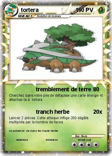 Pokemon tortera                        1