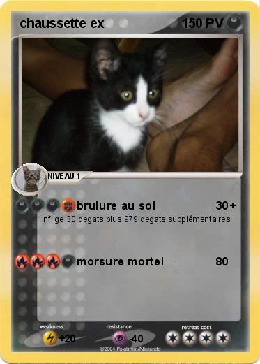 Pokemon chaussette ex