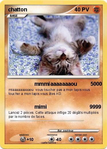 Pokemon chatton