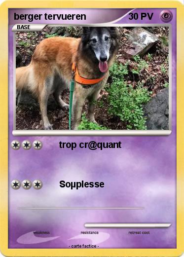 Pokemon berger tervueren