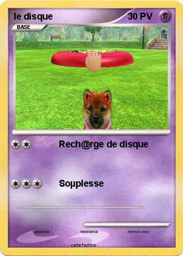 Pokemon le disque