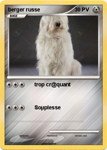 Pokemon berger russe