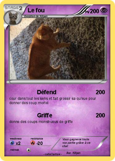 Pokemon Le fou