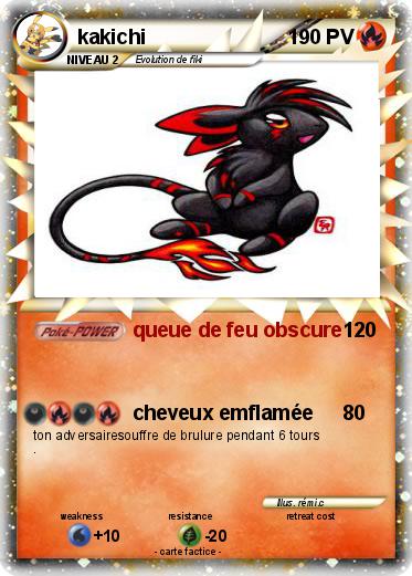Pokemon kakichi
