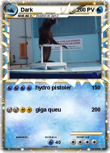 Pokemon Dark