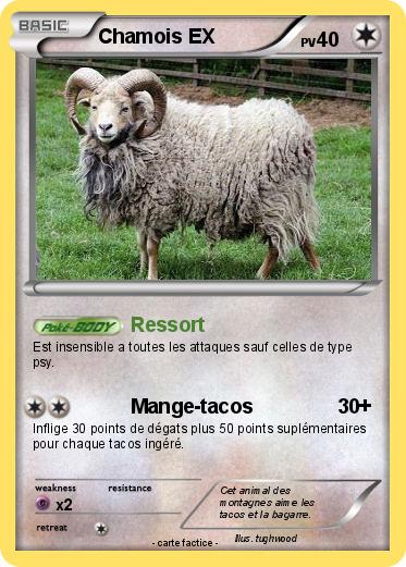 Pokemon Chamois EX
