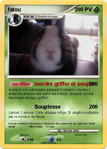 Pokemon fatou