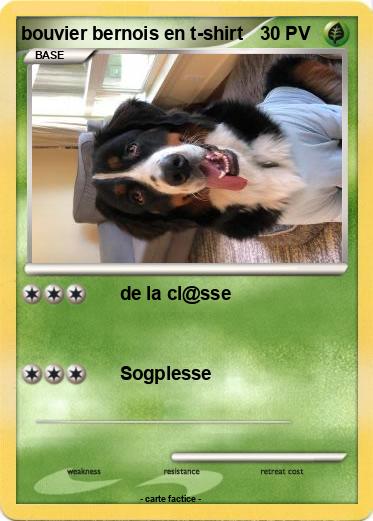 Pokemon bouvier bernois en t-shirt