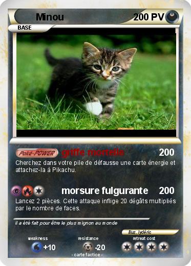 Pokemon Minou