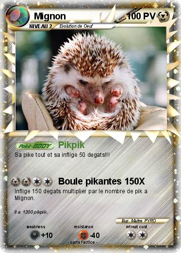 Pokemon Mignon
