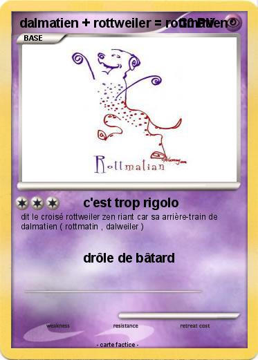 Pokemon dalmatien + rottweiler = rottmatien