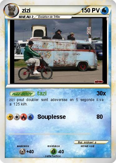 Pokemon zizi