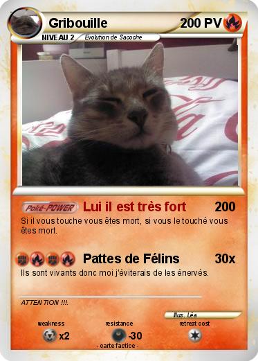 Pokemon Gribouille